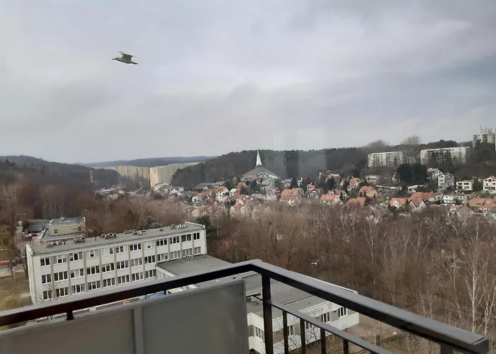 Viewpoint * 索波特